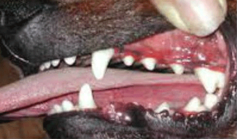 After dental treatment