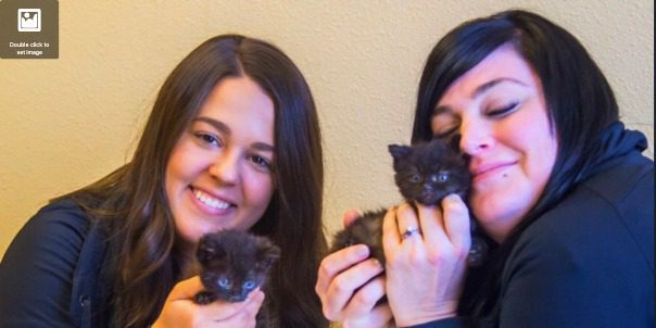 Veterinary team providing compassionate care