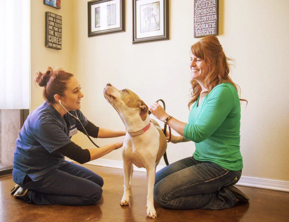Vet tech with dog and owner during a visit