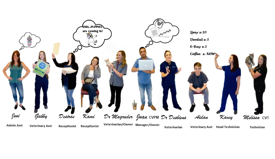 Evergreen Veterinary Hospital team photo
